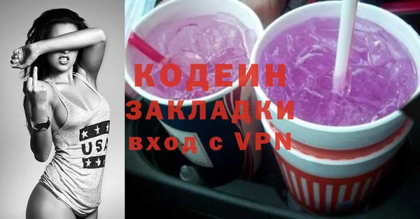 молекула духа Няндома