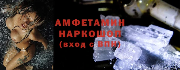молекула духа Няндома