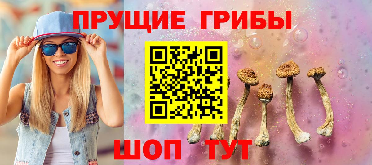 Галлюциногенные грибы GOLDEN TEACHER Жуковский