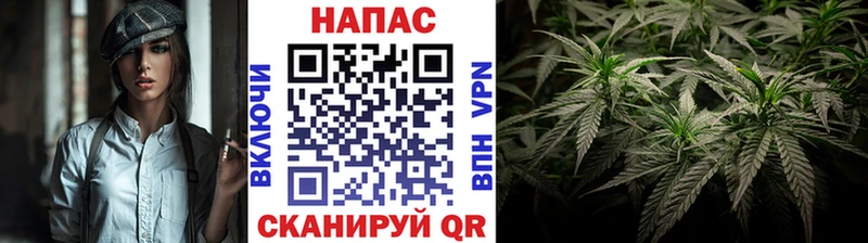 Шишки марихуана ГИДРОПОН  Жуковский 